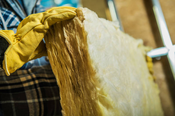 Best Insulation Maintenance and Repair in Scandia, MN