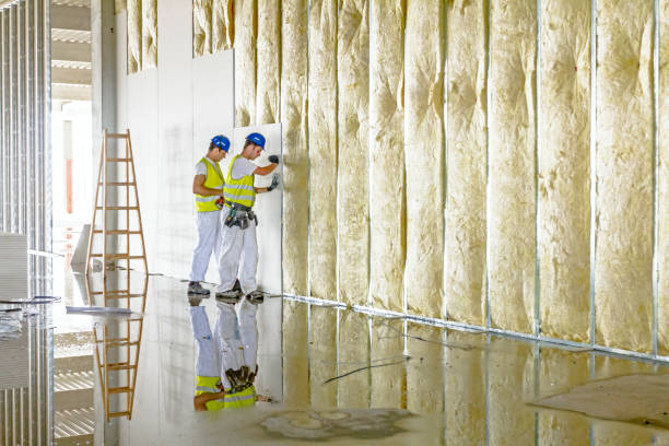 Best Commercial Insulation in Scandia, MN